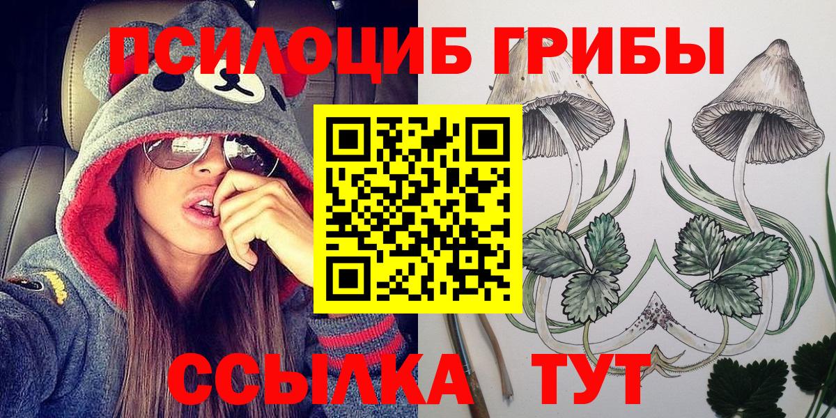 Псилоцибиновые грибы GOLDEN TEACHER  Галлюциногенные грибы прущие грибы  Вход с VPN  Курск 