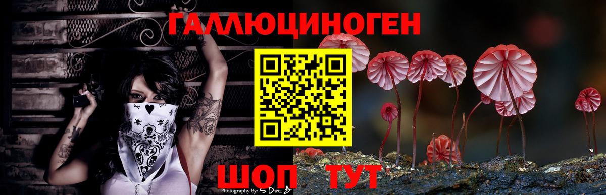 МЕТ  Вход с VPN  Купить наркотик  Экстази  КОКАИН  Меф МЯУ МЯУ  Меф МЯУ МЯУ   Курск  ГАШИШ  Бошки Шишки 